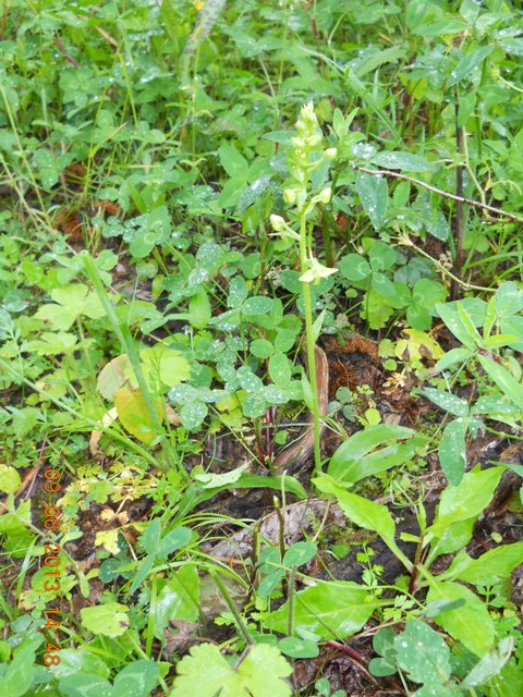 m.rotato 090613 006.jpg