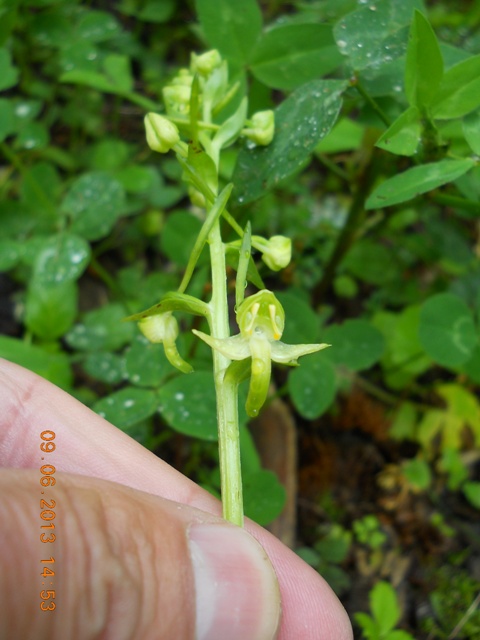 m.rotato 090613 014.jpg