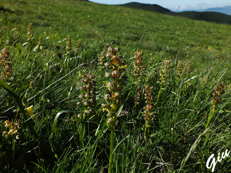 DSCF7634.jpg