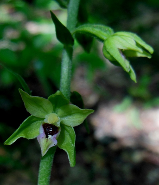 DSCN3348.jpg