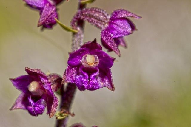 IMG_0158.jpg