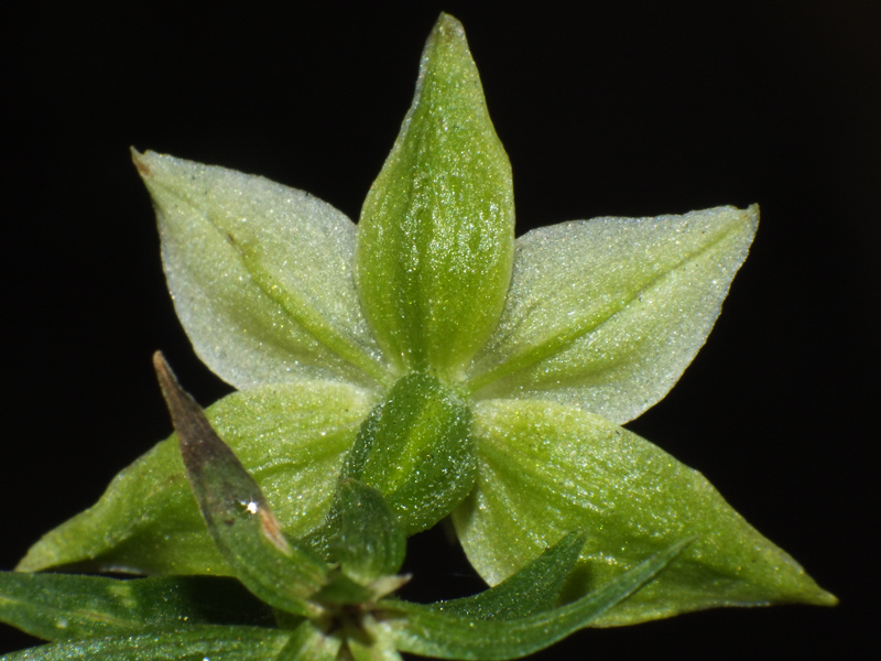 DSCF1688.jpg